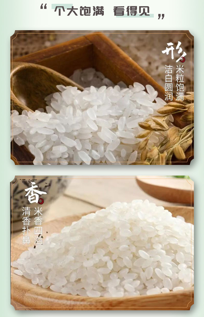 农天园  南陵大米-稻鸭米2.5千克自然清香