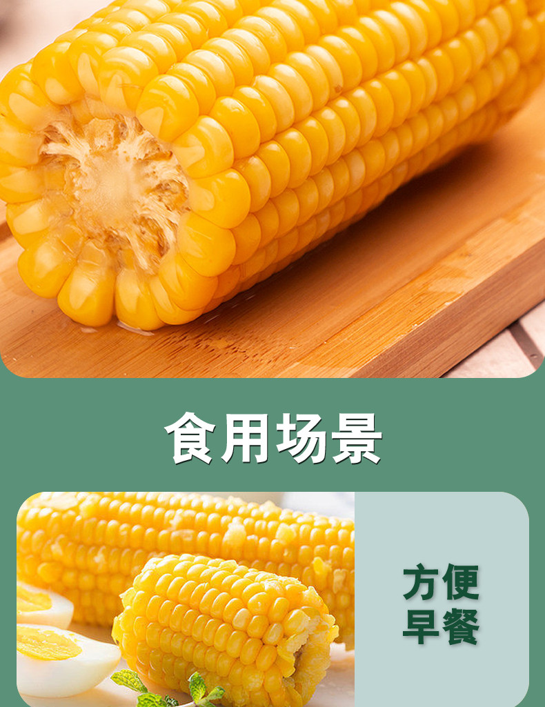 大晟金秋 鲜玉米 800g