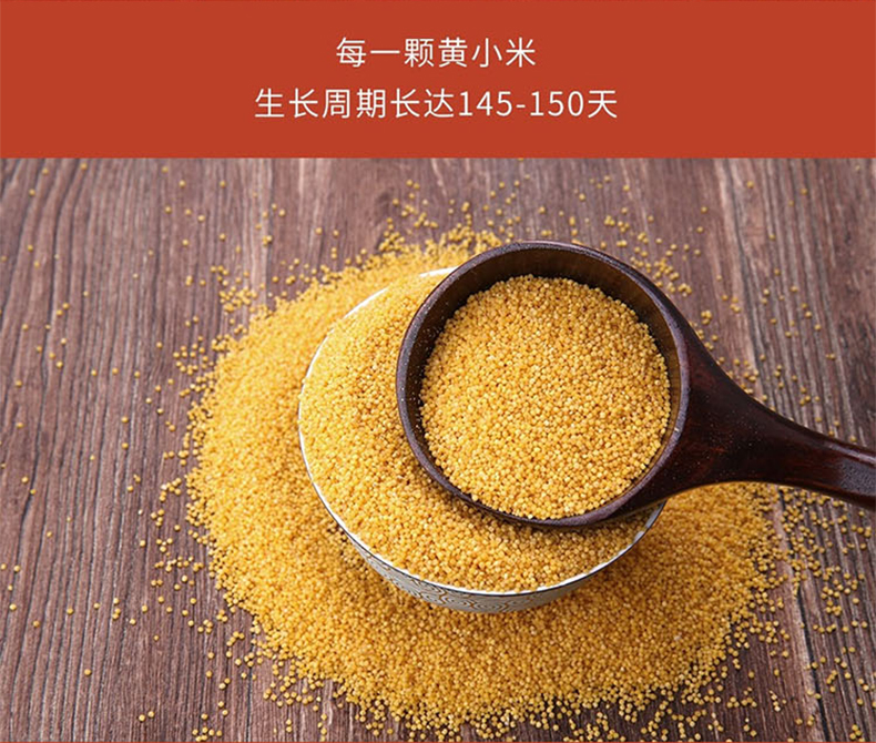 飞狐源 涞源小米300g*10袋礼盒装新小米黄小米涞源特产