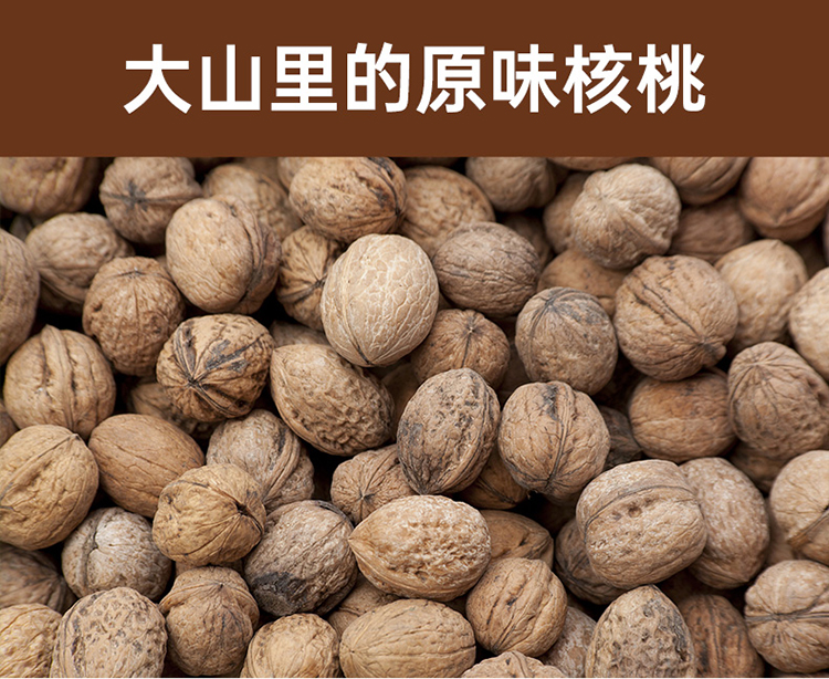 阜东 山核桃坚果零食450g*3袋包装非手剥河北保定特产