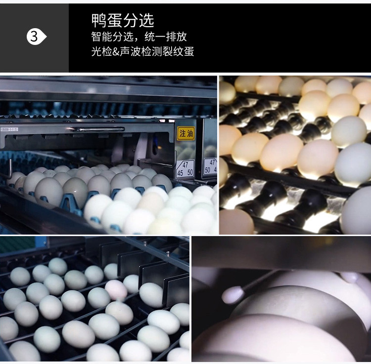 京南湖 烤鸭蛋8枚装420g麻鸭红泥焦香流油河北衡水特产