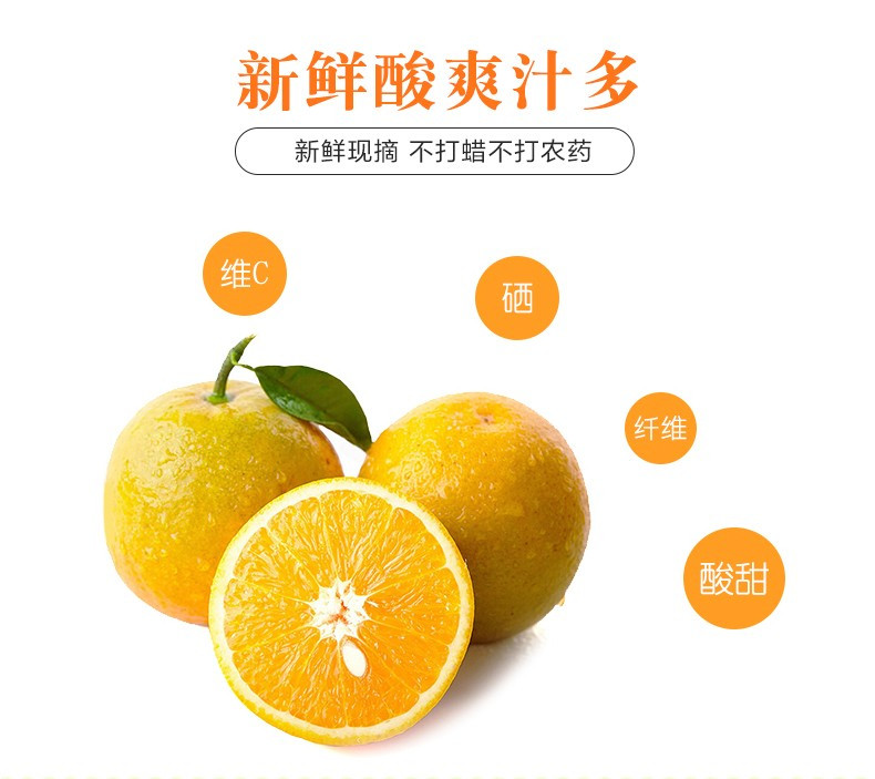 秭归夏橙9斤中果(60-65mm)  新鲜水果果园直发