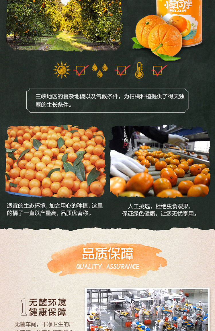 小覃同学 橘子罐头 新鲜水果罐头甜品休闲零食312g/罐