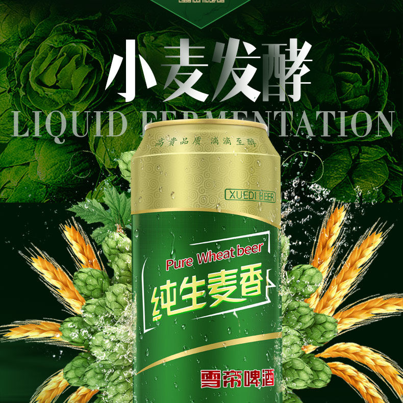 百士青岛青豪精品啤酒整箱批发500mL9罐装啤酒黑啤黄啤多规格可选