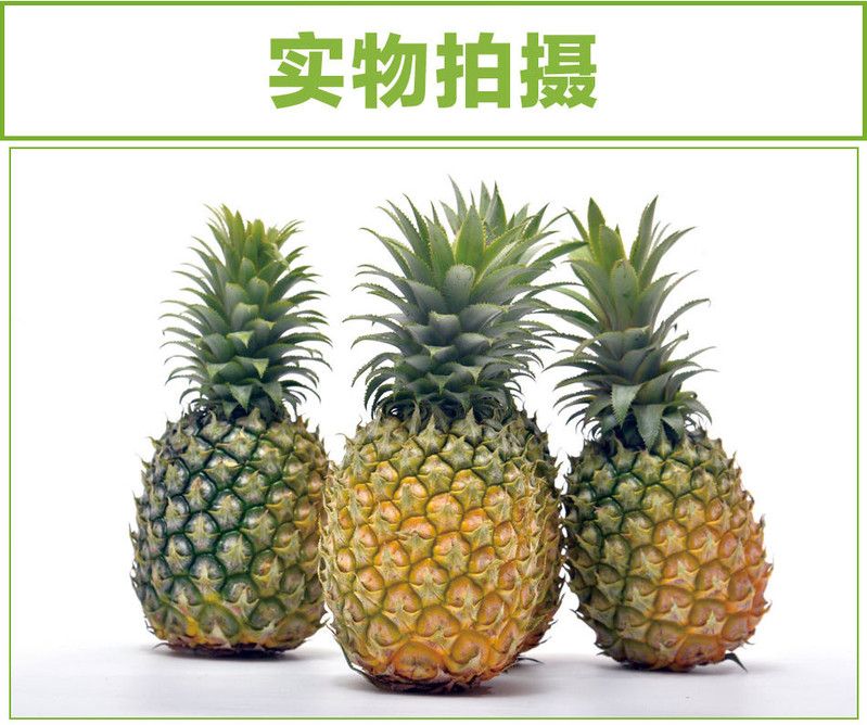 正宗徐闻香水菠萝小菠萝带箱5斤(2-4个)新鲜水果非凤梨