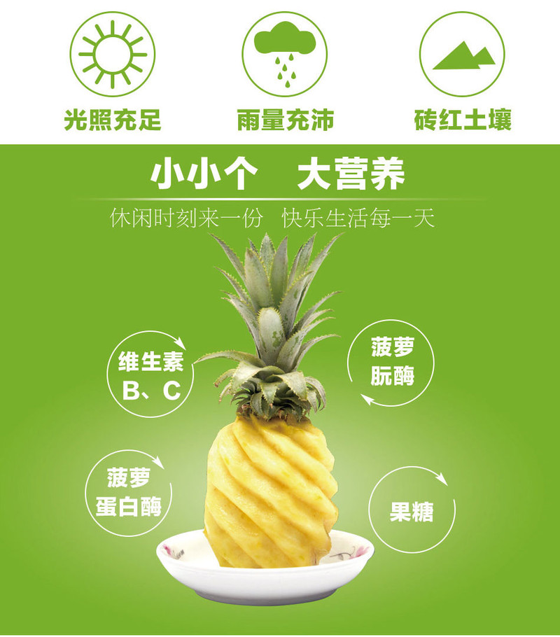 正宗徐闻香水菠萝小菠萝带箱5斤(2-4个)新鲜水果非凤梨