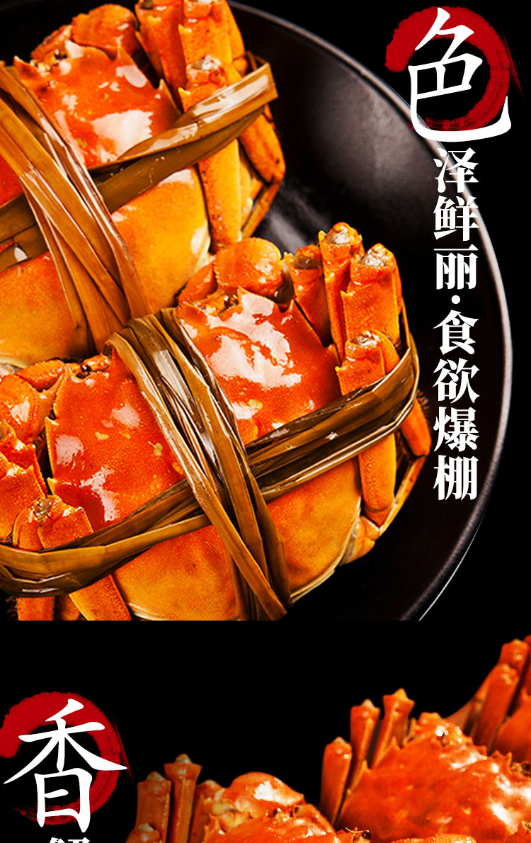 【抢特大蟹6.0两】苏州大闸蟹鲜活超大螃蟹活的现货礼盒6.0-2.0两