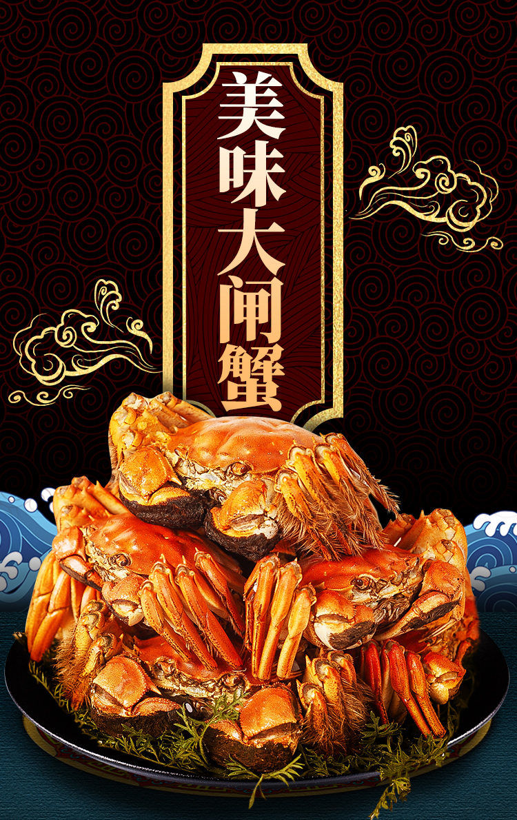 【抢特大蟹6.0两】苏州大闸蟹鲜活超大螃蟹活的现货礼盒6.0-2.0两