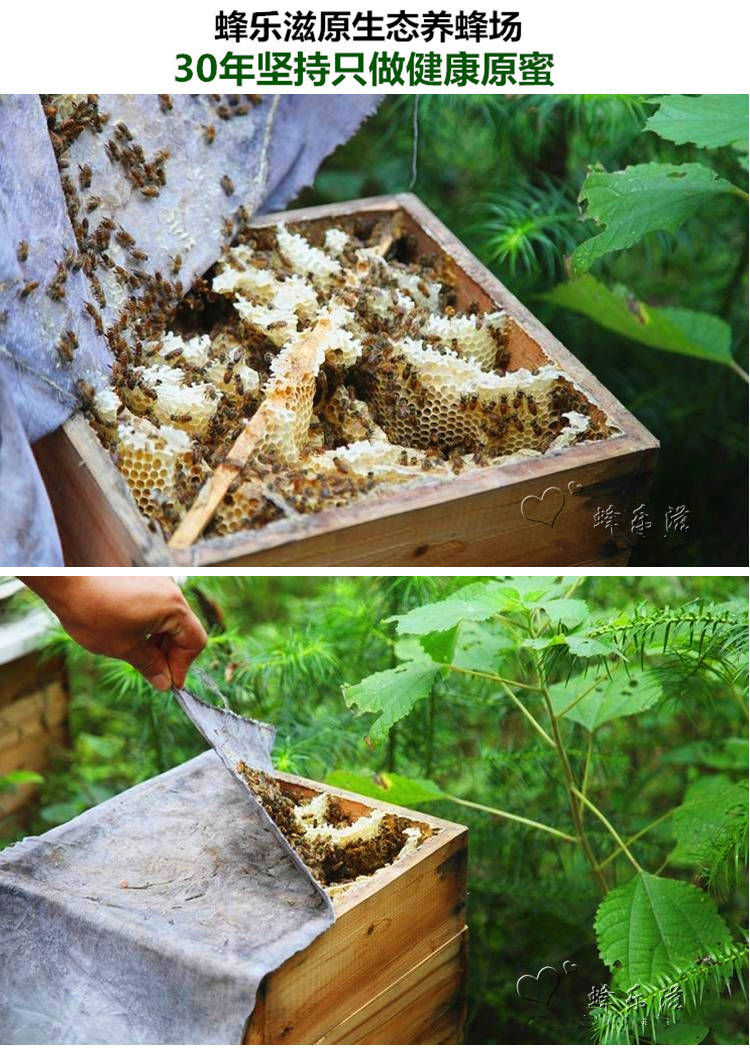 土蜂蜜正宗枣花蜜天然百花蜜野生洋槐蜜