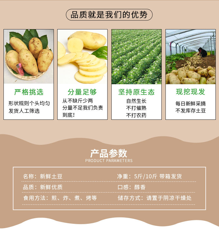 莱芜特产山东黄心土豆新鲜包邮农家现挖现发食用香甜