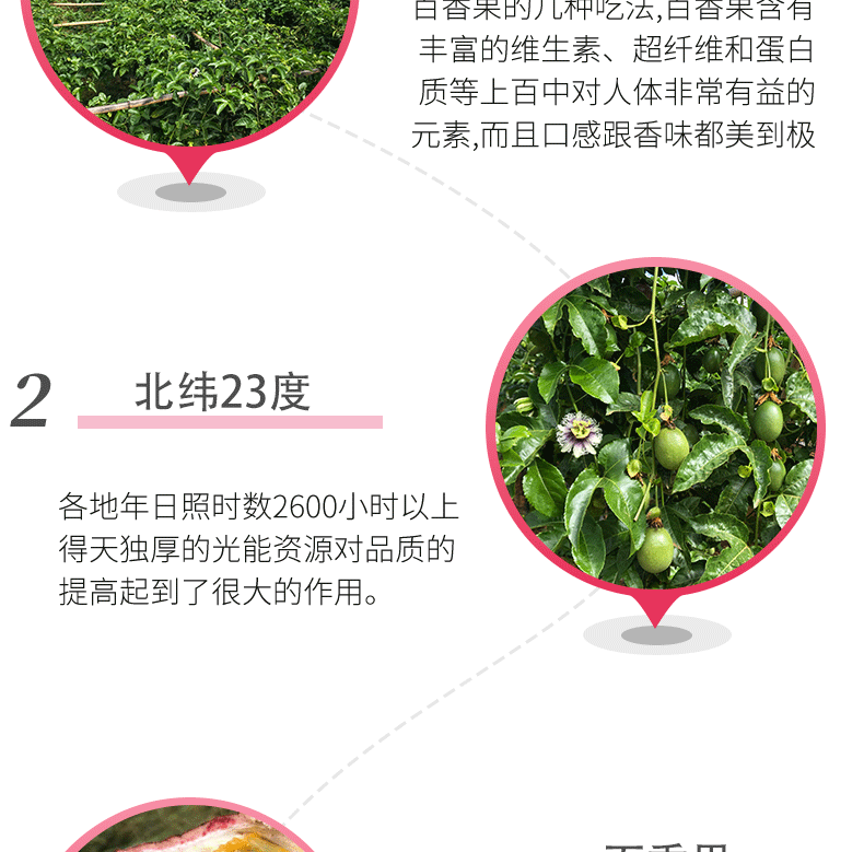 义江缘 云南百香果新鲜包邮西番莲水果浓浆果酱原浆当季整箱直发包邮