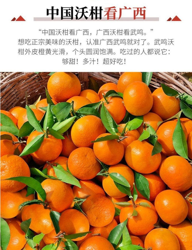 义江缘 广西武鸣沃柑新鲜水果无核当季现摘时令整箱包邮大果橘子