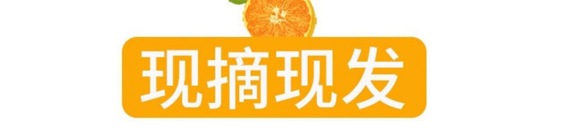 义江缘 广西武鸣沃柑新鲜水果无核当季现摘时令整箱包邮大果橘子