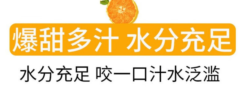 义江缘 广西武鸣沃柑新鲜水果无核当季现摘时令整箱包邮大果橘子