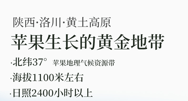 义江缘 陕西洛川红富士苹果水果新鲜水果应季孕妇水果脆甜脆冰糖心