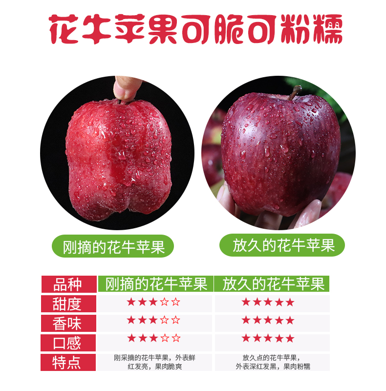 义江缘 花牛苹果水果新鲜当季红苹果包邮