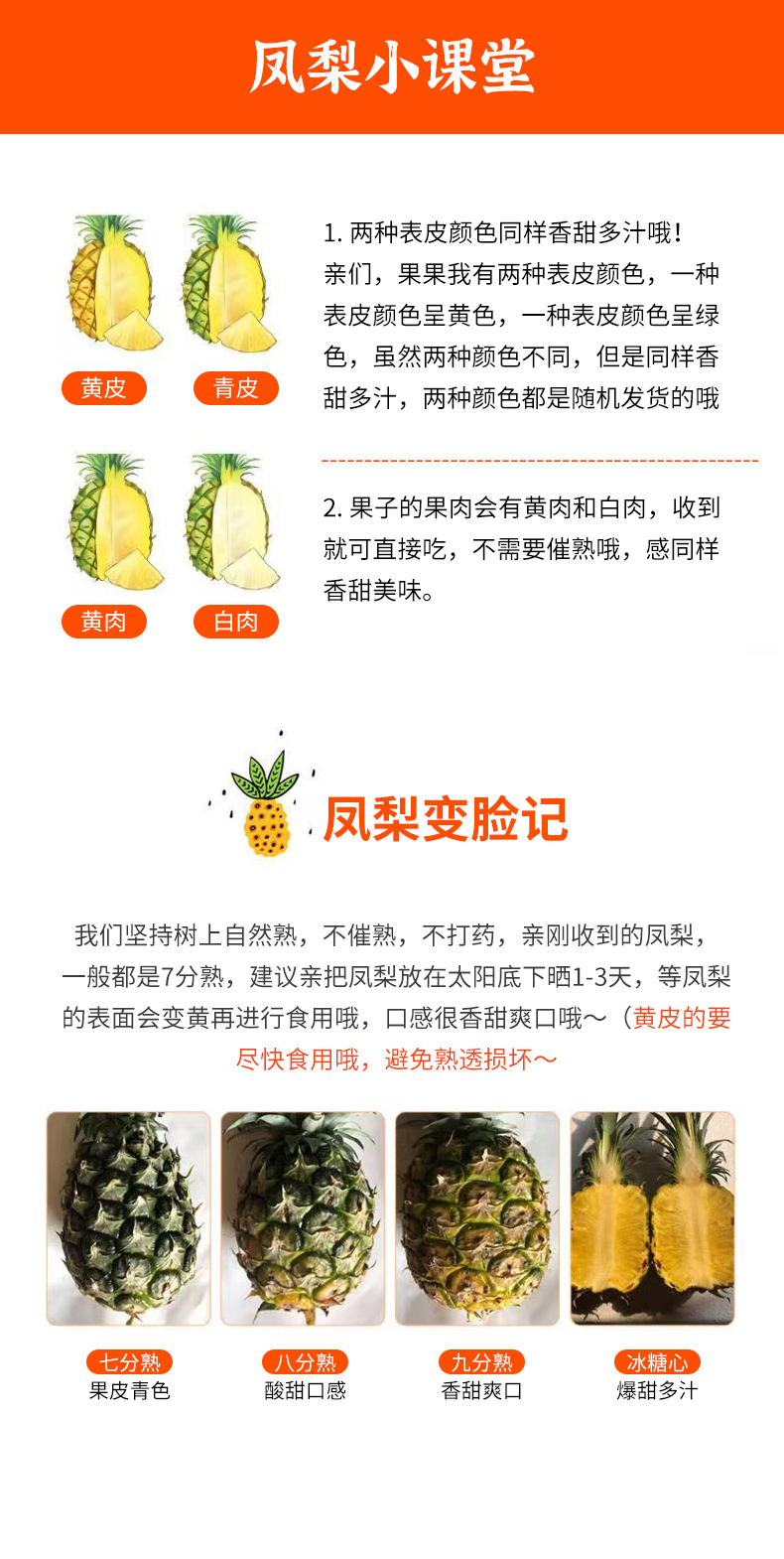 义江缘 云南凤梨新鲜现摘产地直发当季热带水果金钻凤梨菠萝手撕菠萝整箱