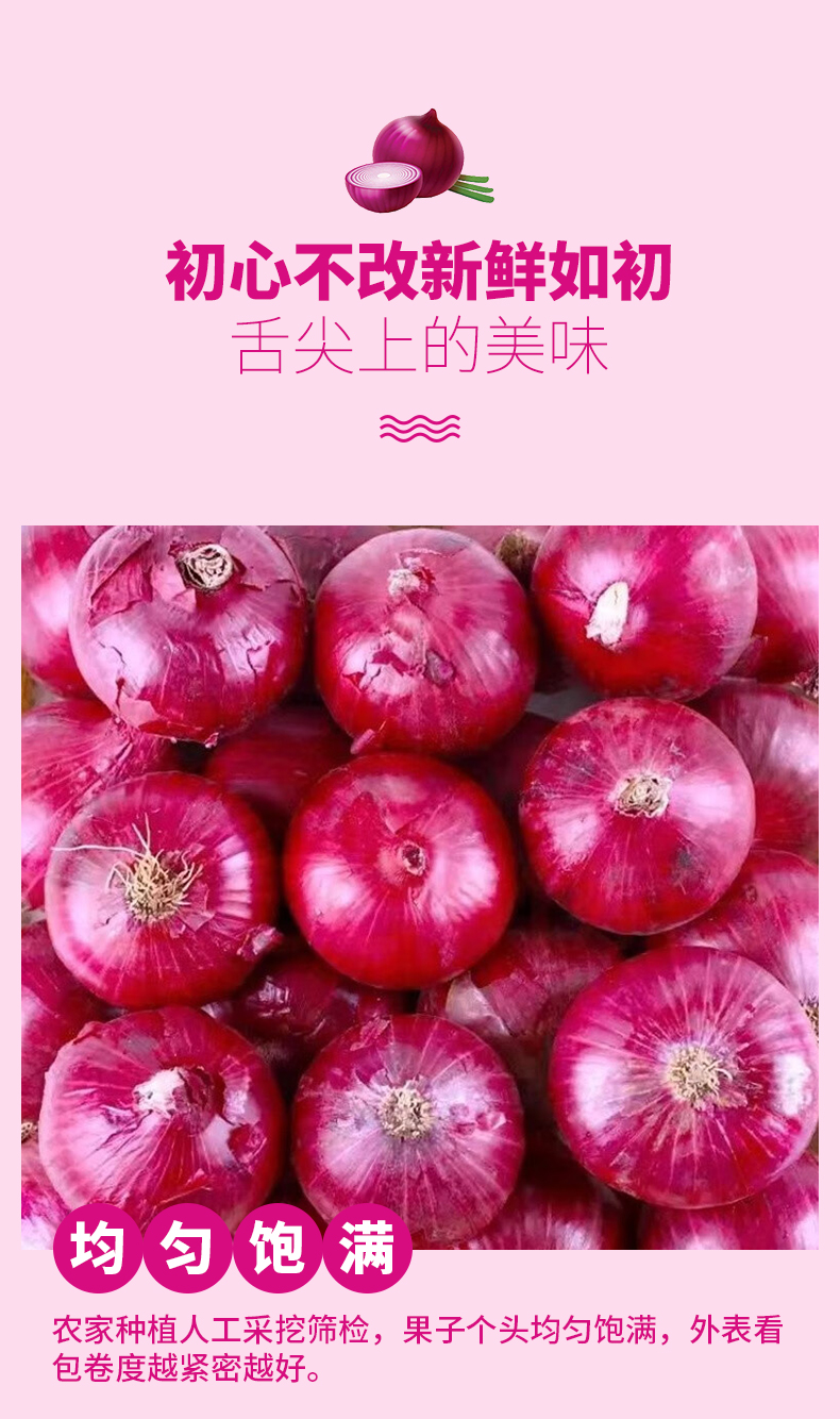 义江缘 紫皮洋葱新鲜圆葱应季蔬菜红皮大洋葱头整箱