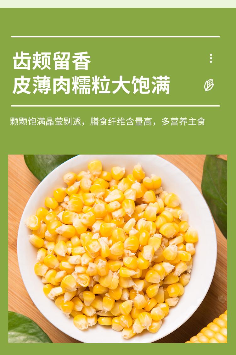 贝朗熊 山西忻州新鲜黄糯玉米穗真空包装