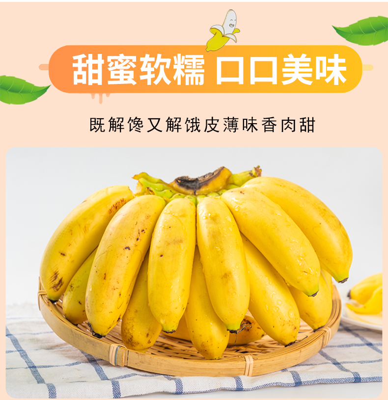 义江缘 广西小米蕉当季新鲜水果包邮整箱