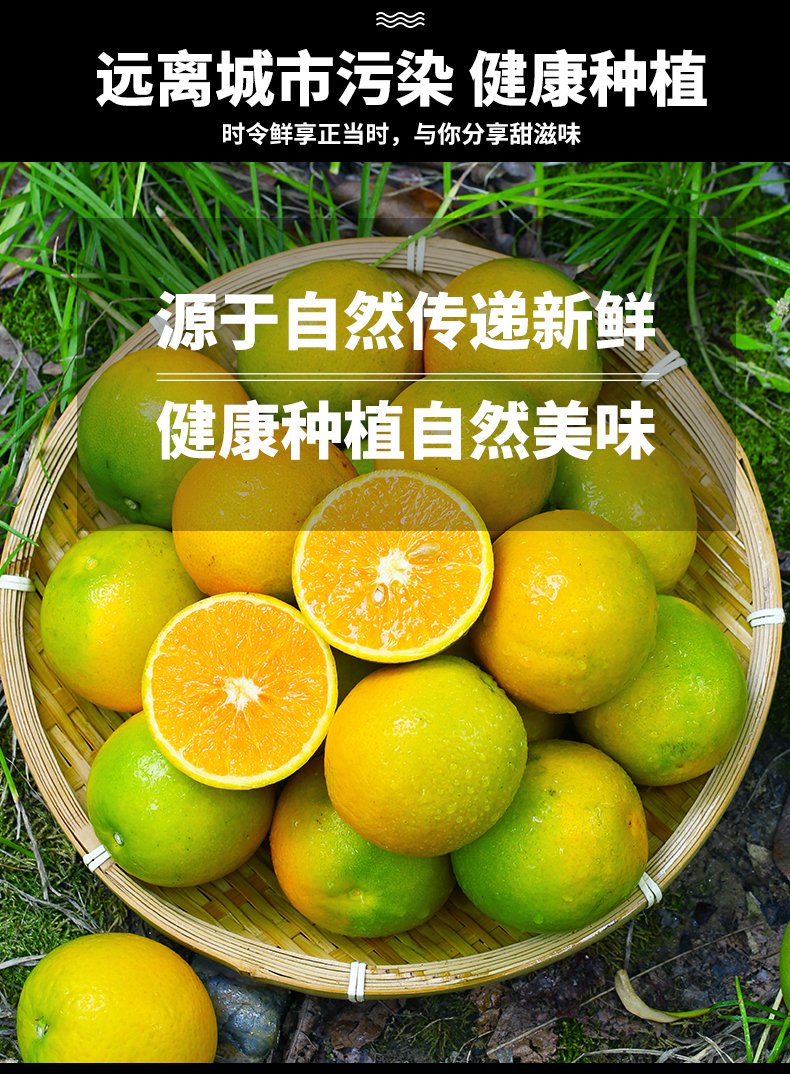 义江缘 夏橙秭归脐橙当季水果整箱包邮