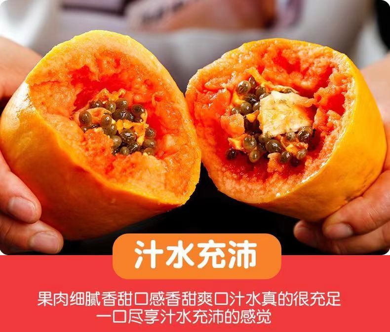 义江缘 雷州红心牛奶冰糖木瓜现摘现发树上熟新鲜水果带箱