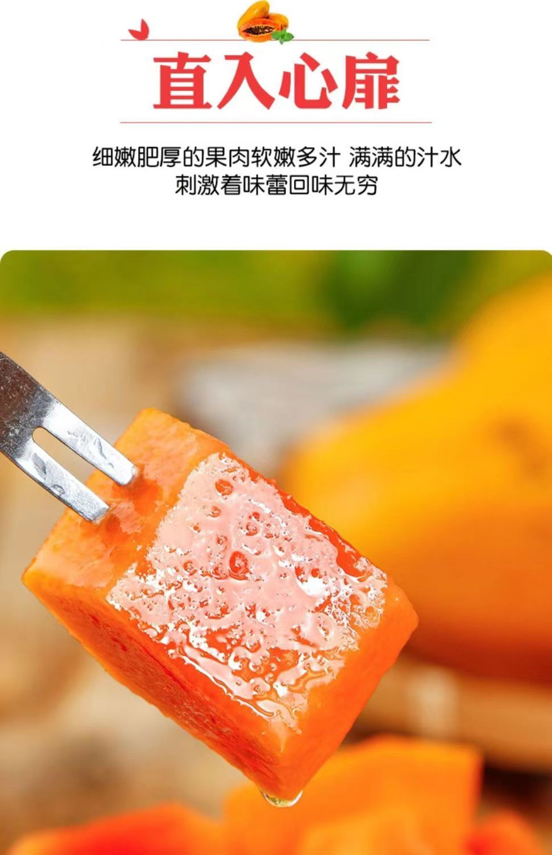 义江缘 雷州红心牛奶冰糖木瓜现摘现发树上熟新鲜水果带箱