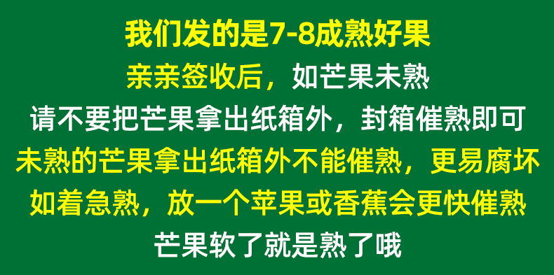 义江缘 凯特芒新鲜应季大芒果大脸芒产地批发包邮