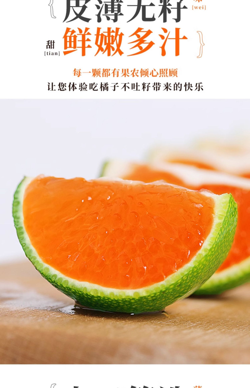 义江缘 宜昌蜜桔当季新鲜水果青皮蜜橘柑橘酸甜桔子包邮