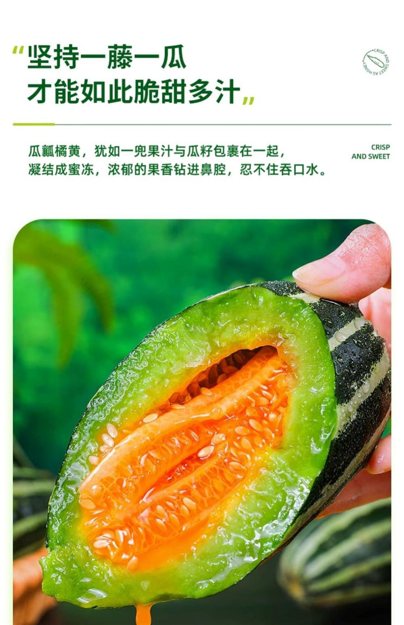 义江缘 山东博洋9号甜瓜新鲜水果当季整箱