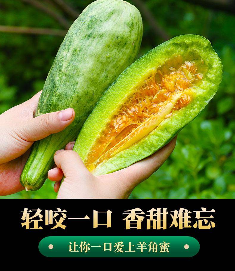 义江缘 山东正宗羊角蜜整箱