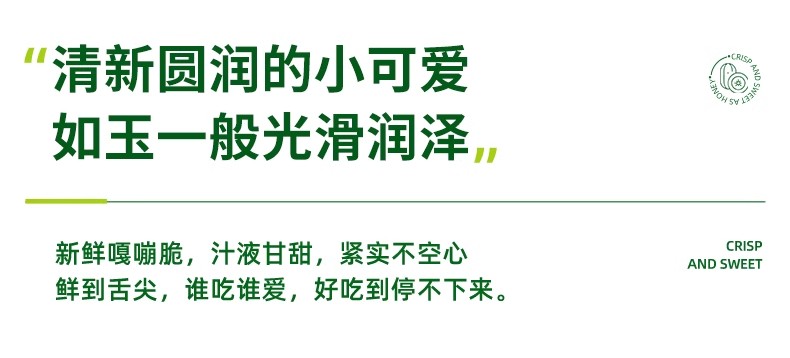 义江缘 山东玉女黄瓜新鲜水果拇指小黄瓜脆甜小青瓜沙拉生吃蔬菜