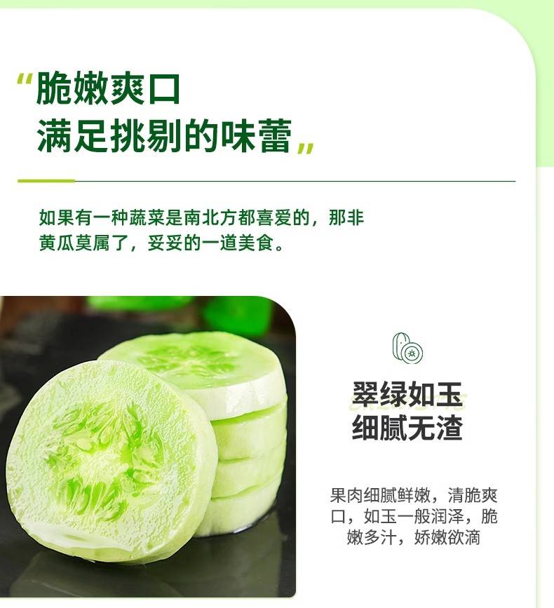 义江缘 山东玉女黄瓜新鲜水果拇指小黄瓜脆甜小青瓜沙拉生吃蔬菜