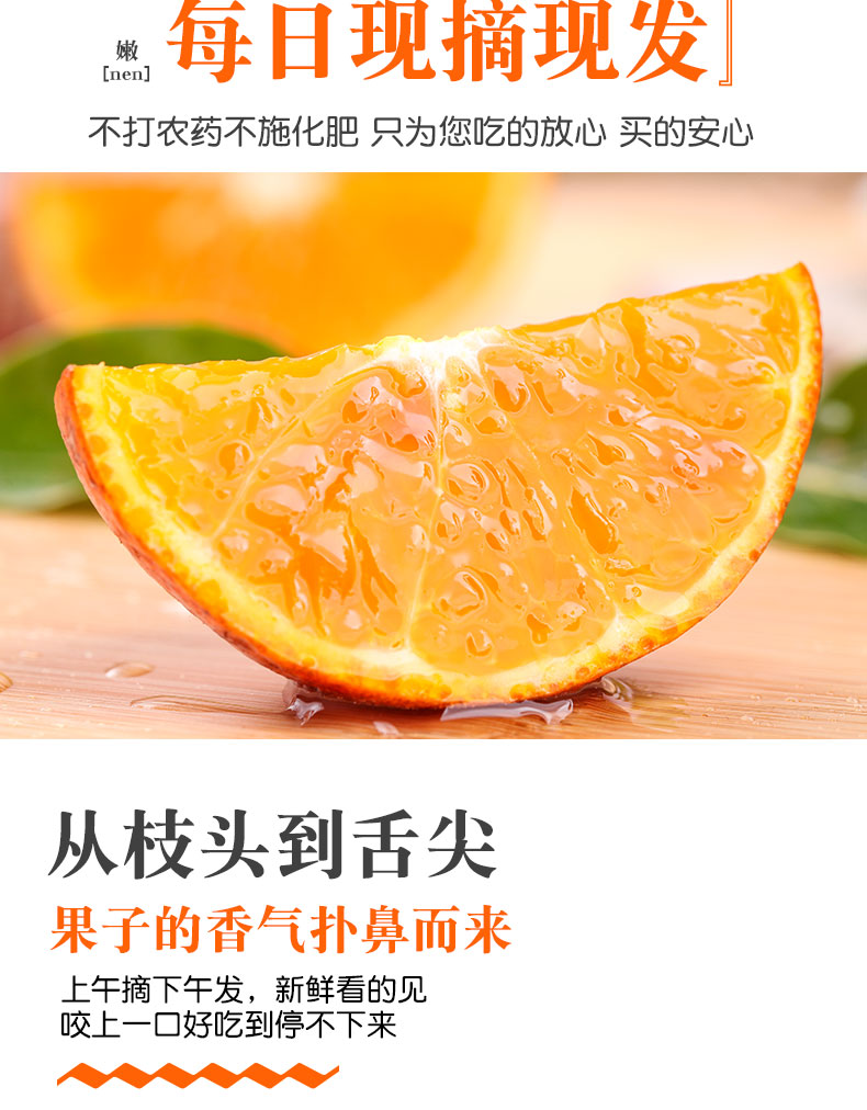 义江缘 广西乌柑黑皮沃柑当季新鲜橘子水果柑橘整箱