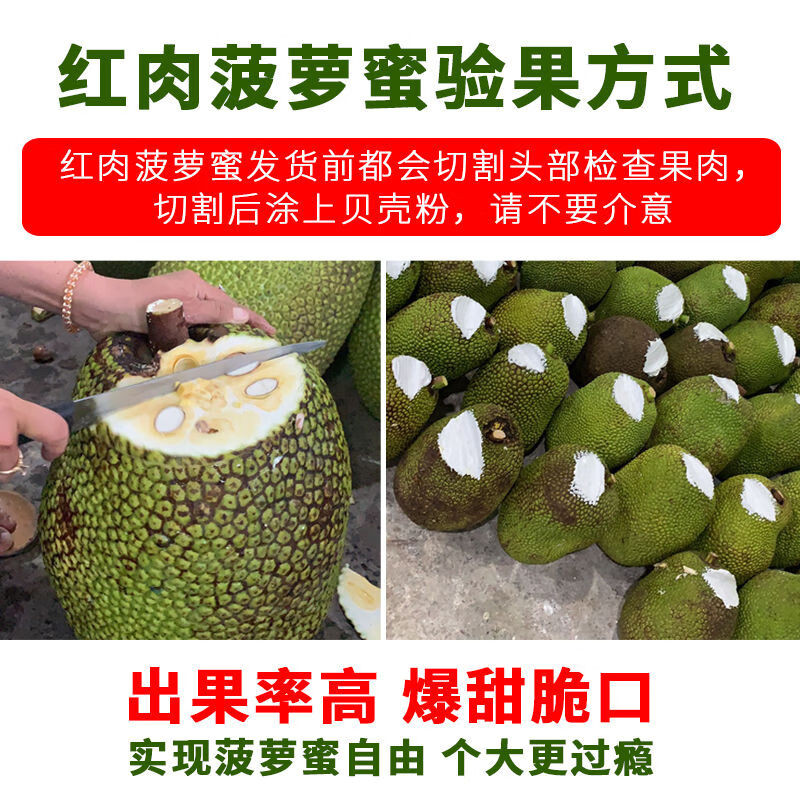 邮鲜生 凭祥直发越南菠萝蜜整个精选新鲜热带水果