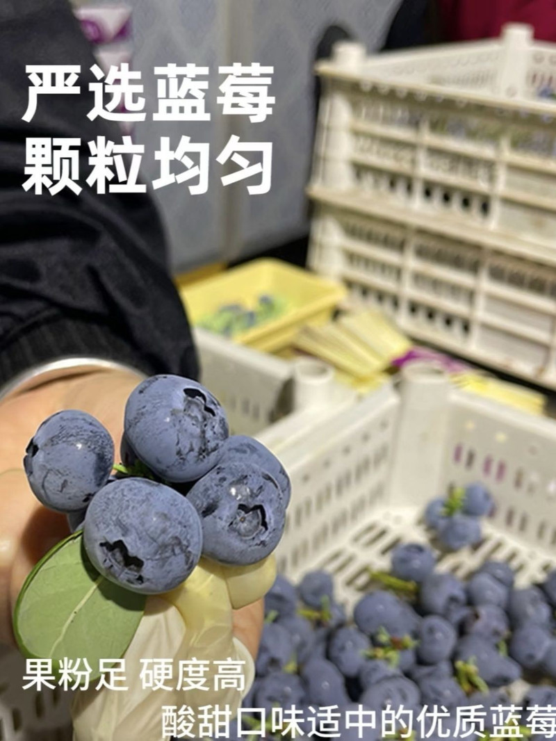 涵睿优品云南高山蓝莓125g2盒