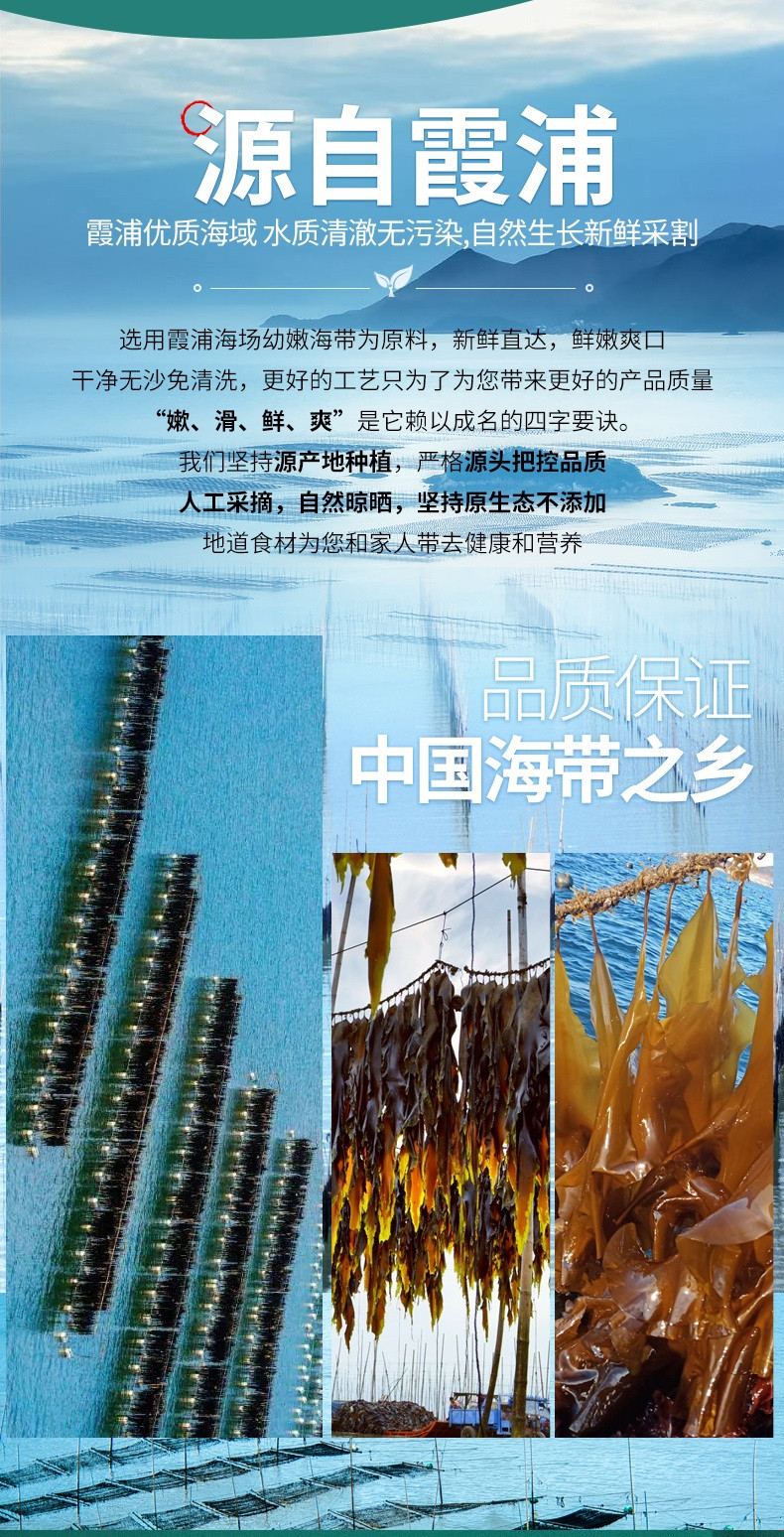 派绅 有机大海带500g整片装福建霞浦干货海带片凉拌火锅食材