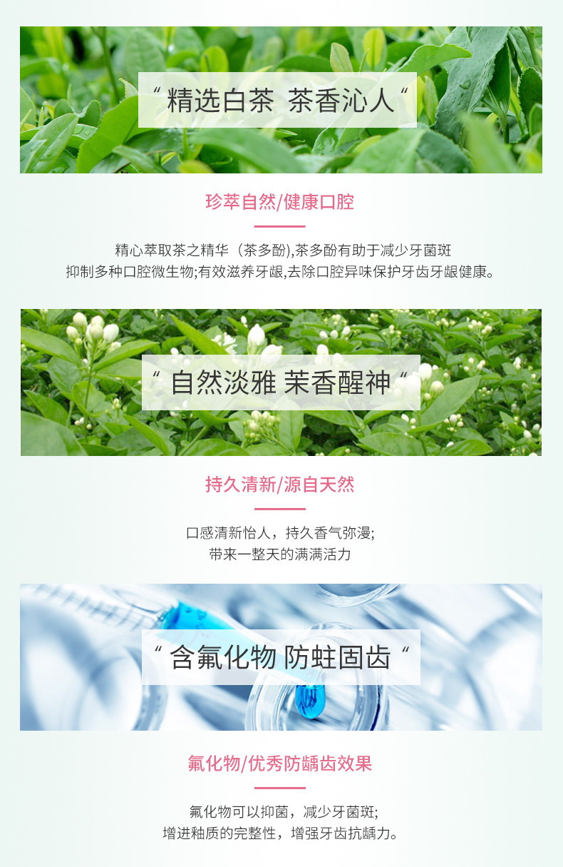 美加净/maxam 170克上海茶清新牙膏（茉莉白茶）