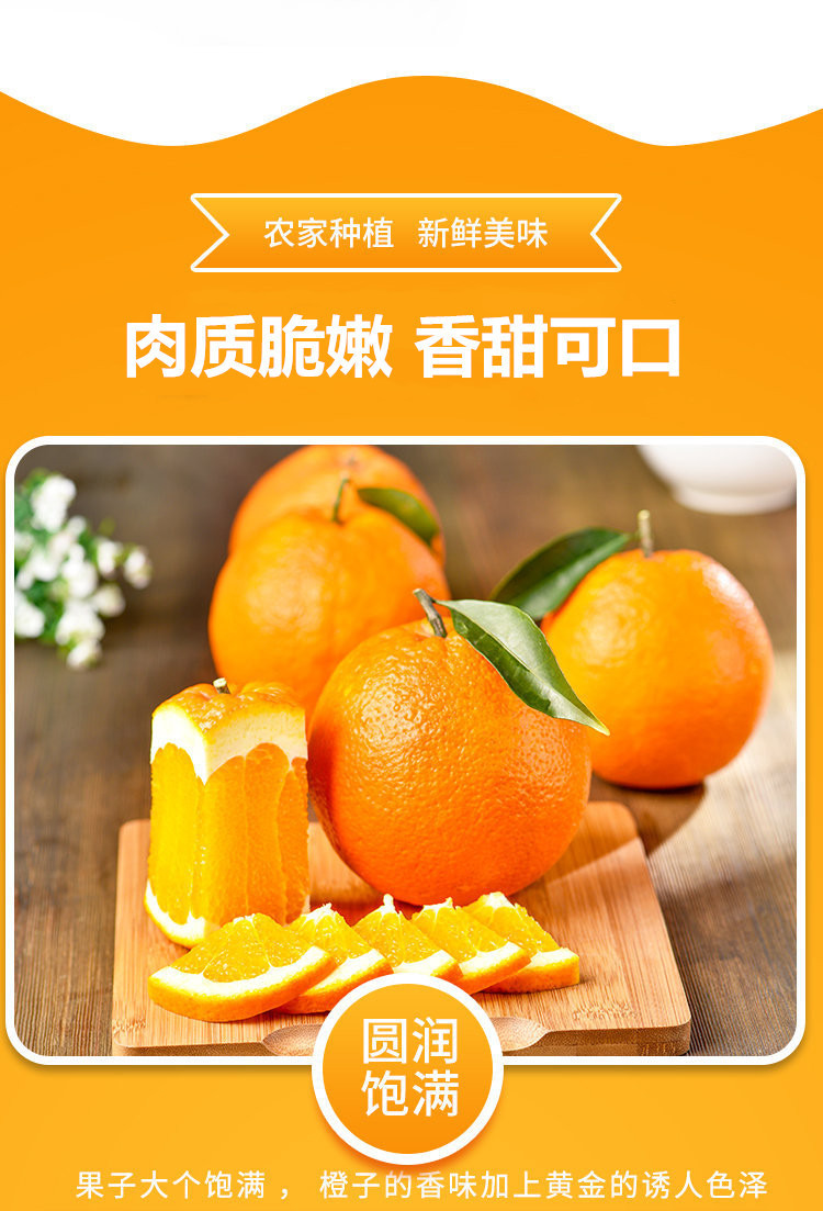  模范丈夫 赣南脐橙新鲜橙子10斤/5斤整箱水果甜橙赣州橙子 新鲜现摘