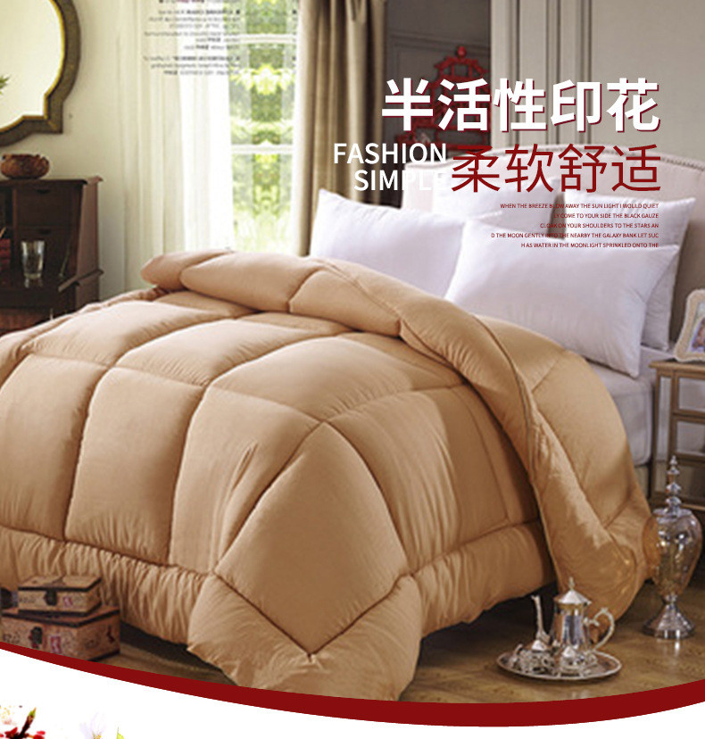  模范丈夫 冬季床上用品被芯加厚保暖现代简约棉花被子 保暖休闲