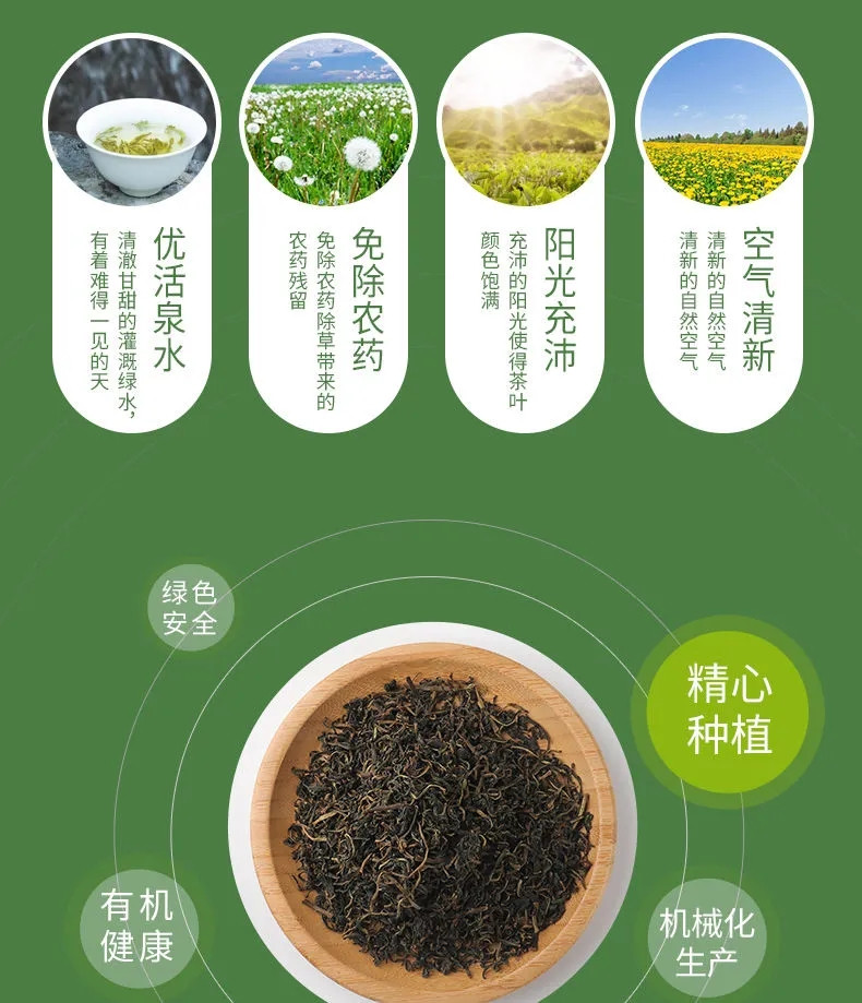 【河北邮政】蒲草婆婆 蒲公英叶茶 50g/2罐 野生天然干货