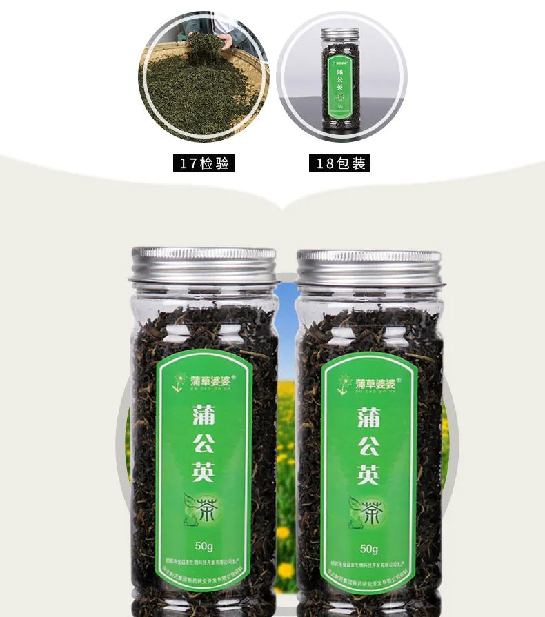 【河北邮政】蒲草婆婆 蒲公英叶茶 50g/2罐 野生天然干货