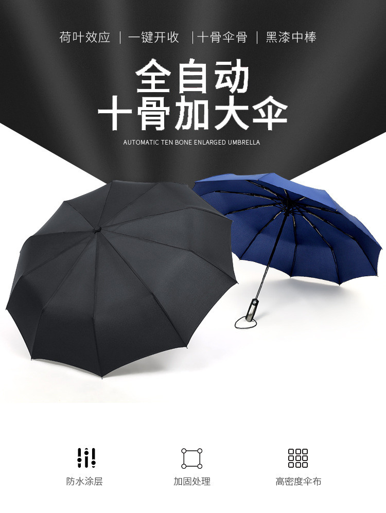 鲁凤来 雨伞 全自动十骨雨伞折叠自开收户外晴雨伞两用 防风雨伞