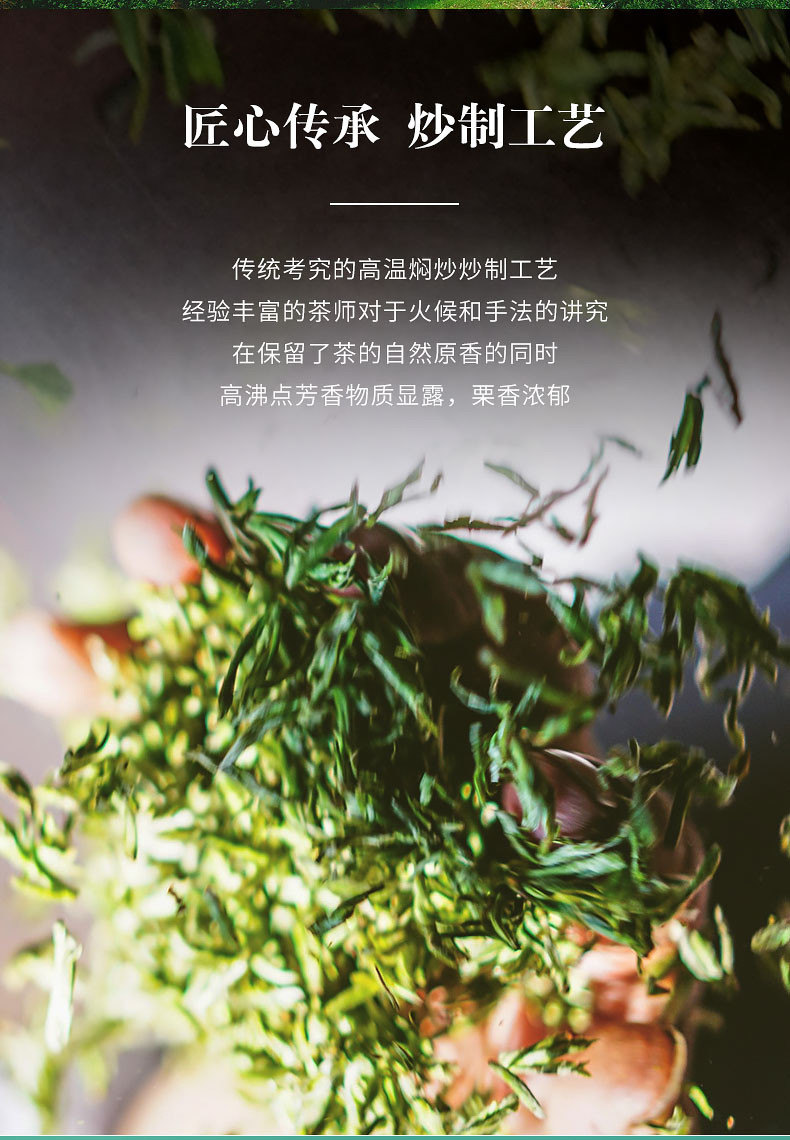 井之绿 绿茶125g