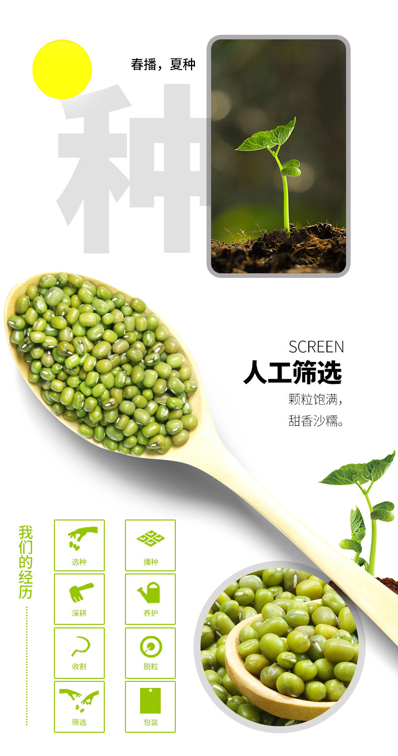  久亿丰谷 【赣品出赣】绿豆500g 新鲜农家绿豆多皮薄