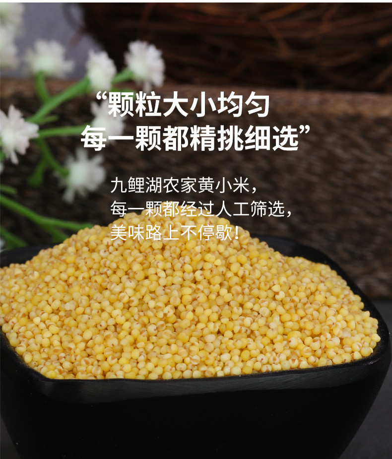 久亿丰谷【赣品出赣】章贡邮政 久亿丰谷 黄小米500g/袋