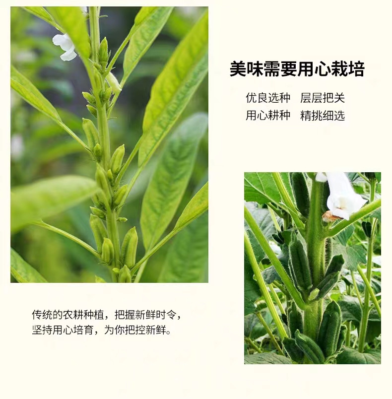 九鲤湖 【新人】九鲤湖 黑芝麻250g 农家新鲜生芝麻五谷杂粮粗粮