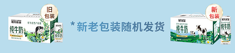  现代牧业 【新人】精装纯牛奶