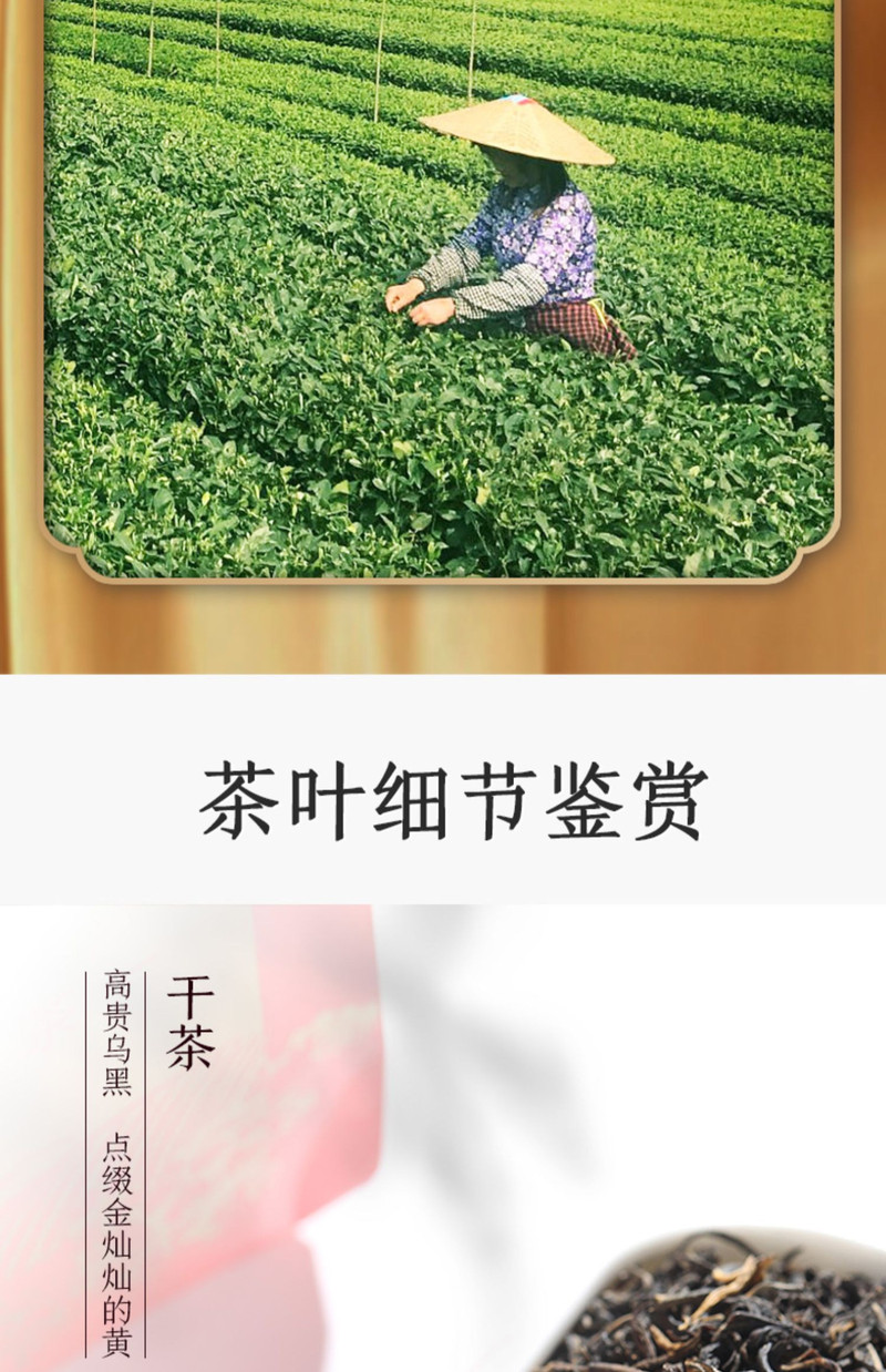 中茶牌【赣品出赣】云南凤庆特级滇红大叶种功夫红茶1千克/袋