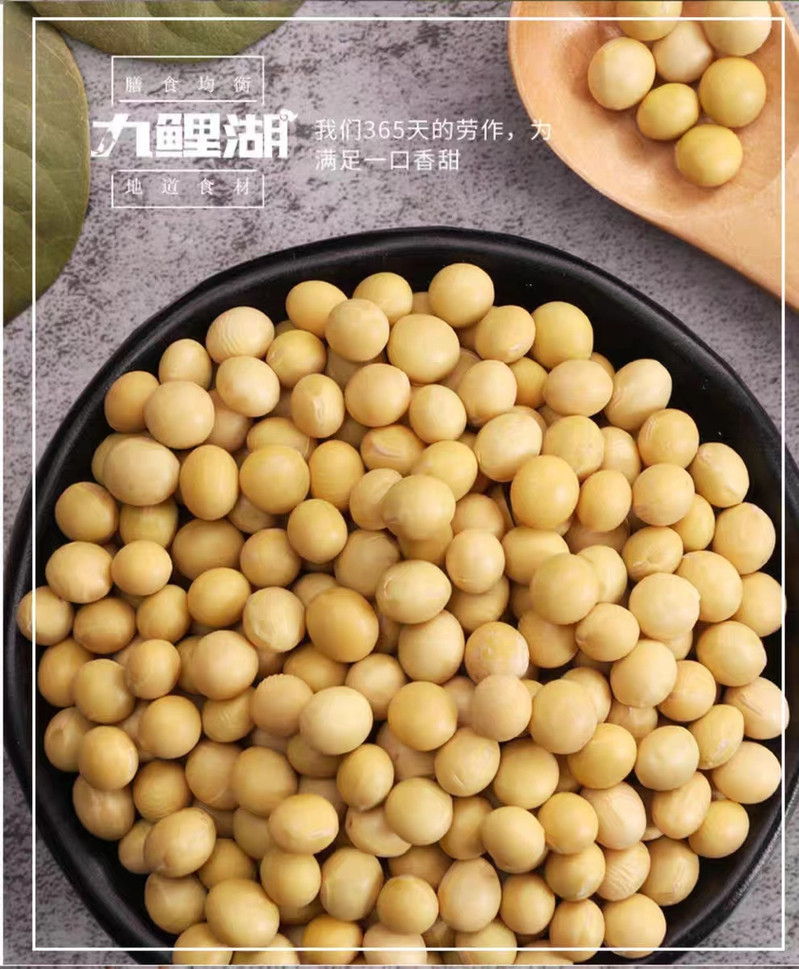  九鲤湖 【赣品出赣】黄豆500g 非转基因五谷杂粮